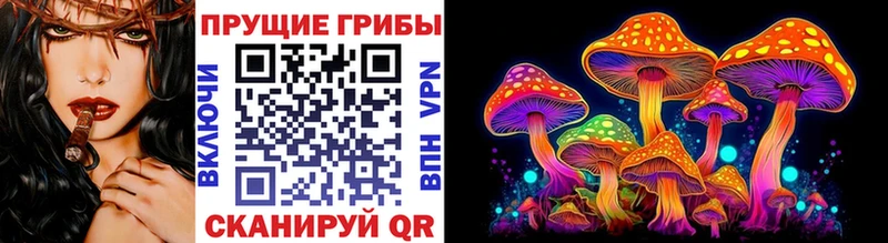 Купить закладки  Катав-Ивановск  Псилоцибиновые грибы Cubensis 